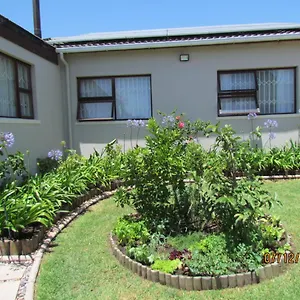 Palm Oasis Cape Town